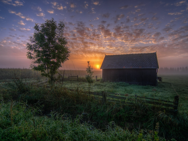 пейзаж, природа, красота