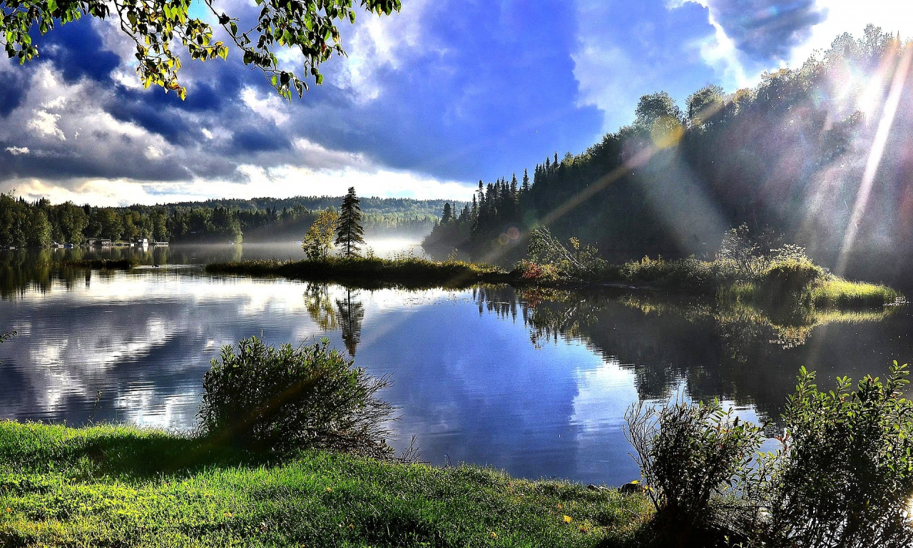 природа, лес, деревья, озеро, лучи солнца