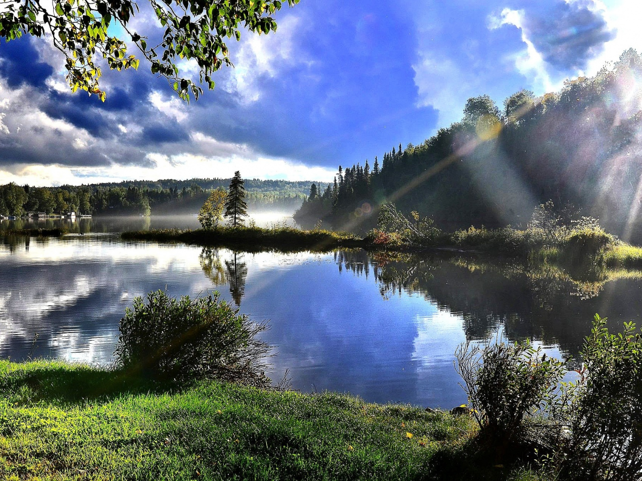 природа, лес, деревья, озеро, лучи солнца