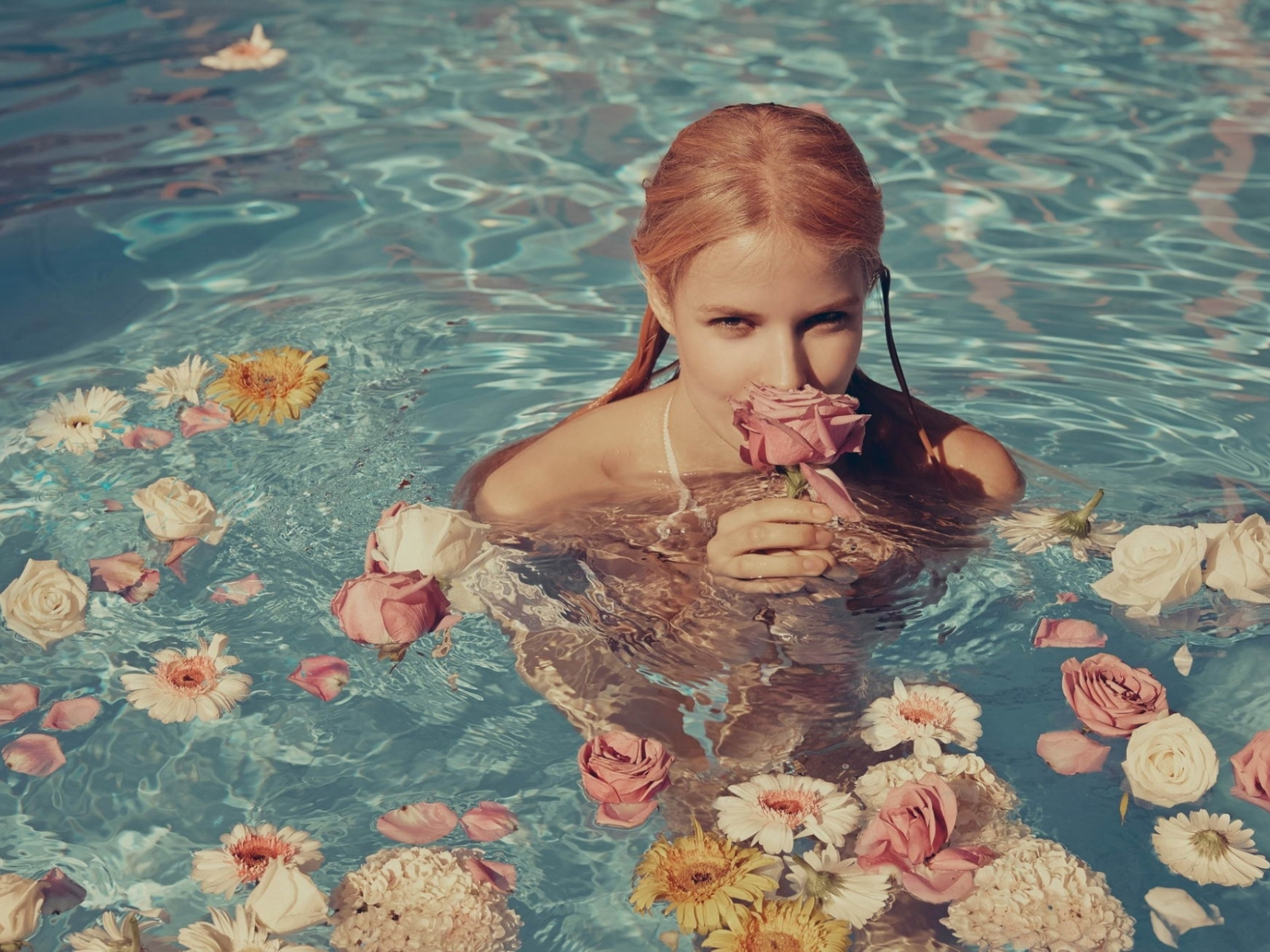 lenalohm, water, flowers