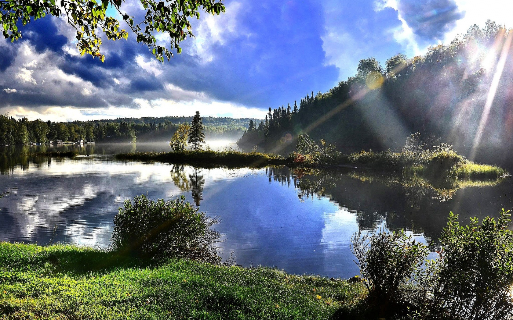 природа, лес, деревья, озеро, лучи солнца