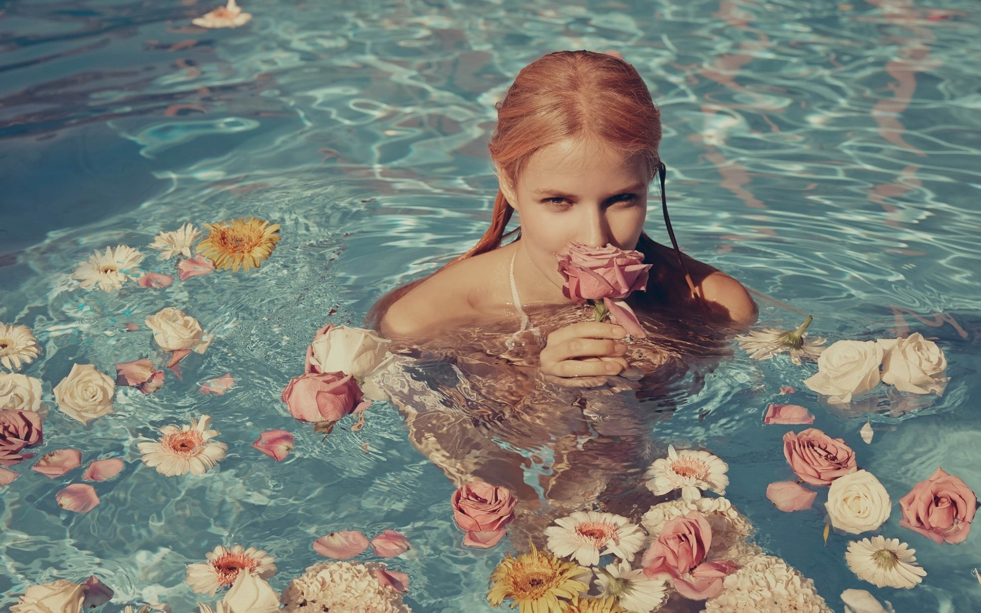 lenalohm, water, flowers