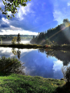 природа, лес, деревья, озеро, лучи солнца