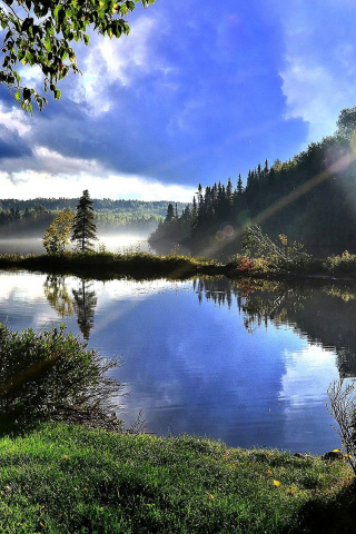 природа, лес, деревья, озеро, лучи солнца