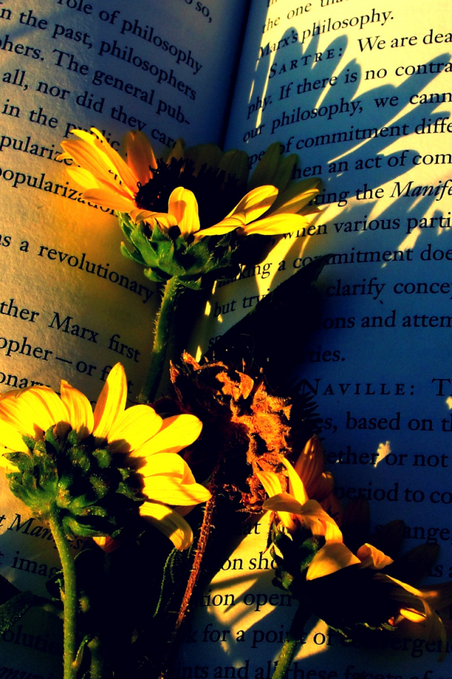 цветы, в книге