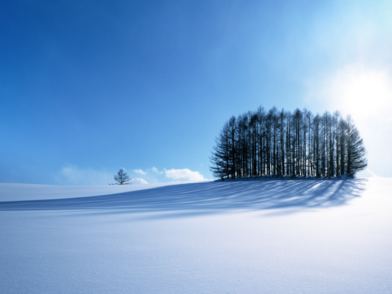 зима, снег, природа