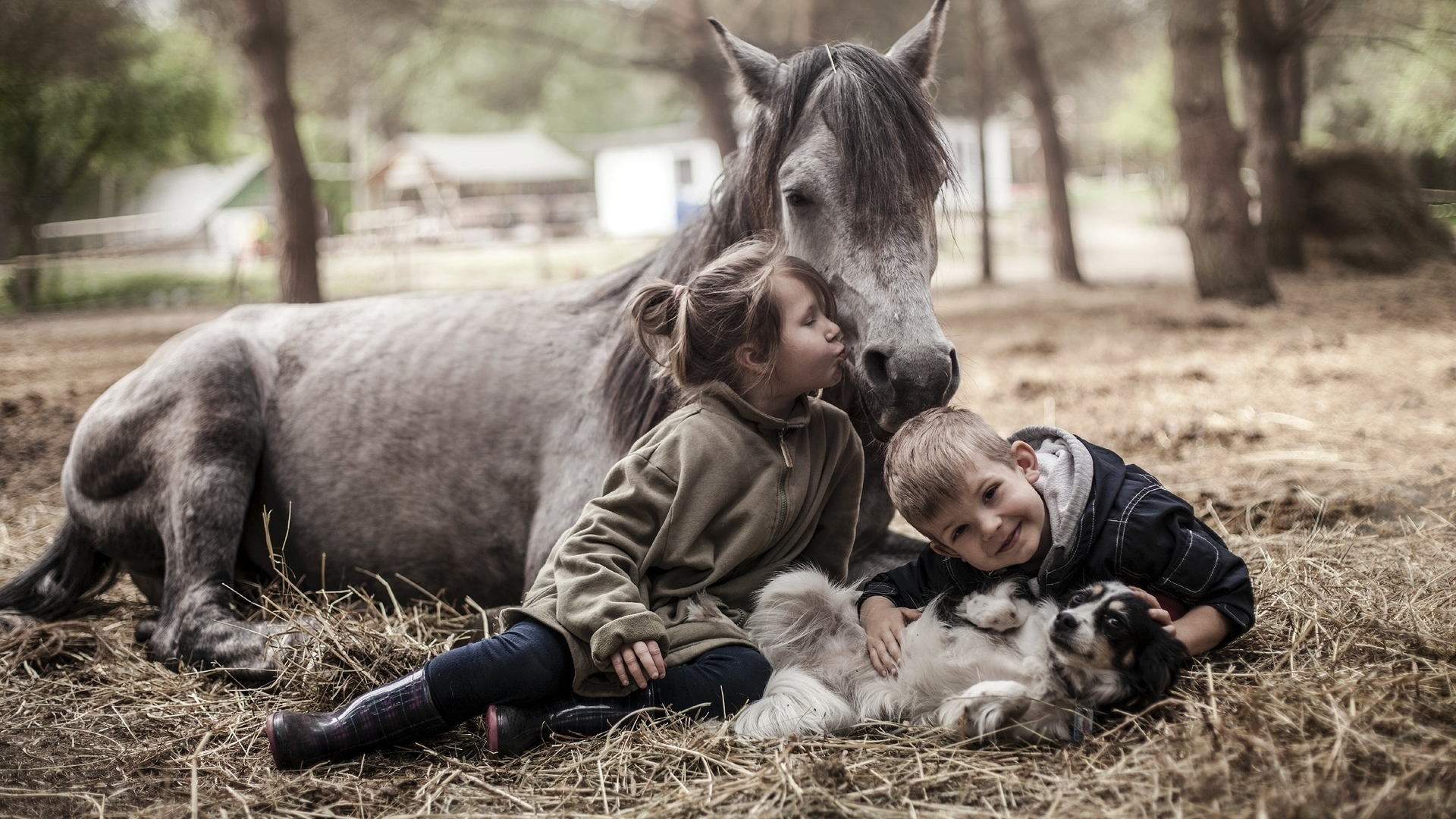 дети на природе, лошадь, собака