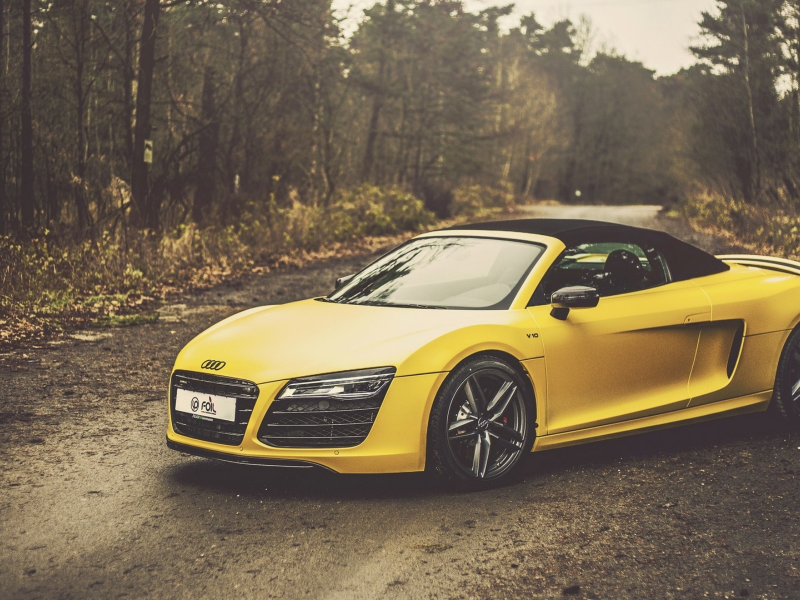 auto, audi spyder