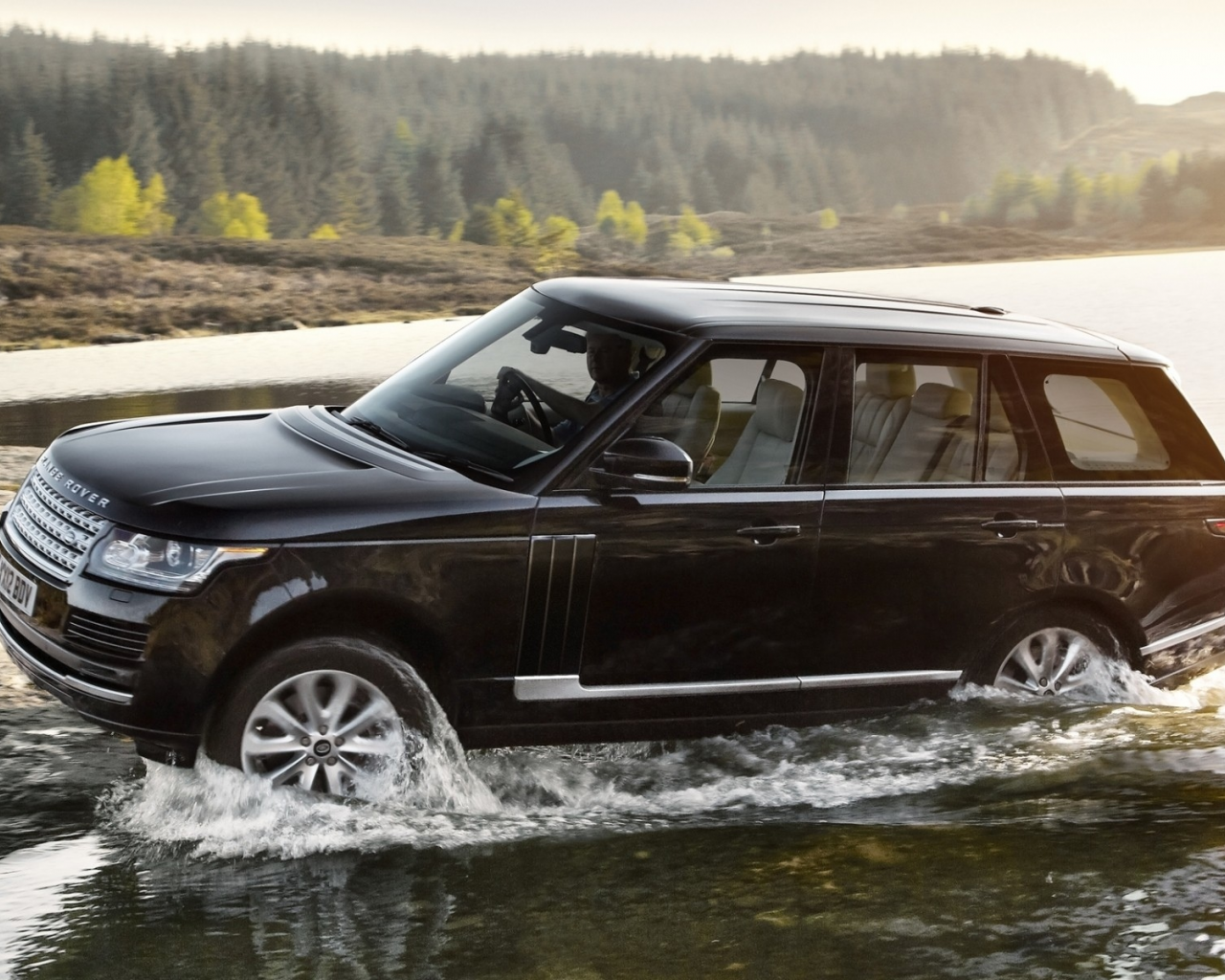 auto, range rover