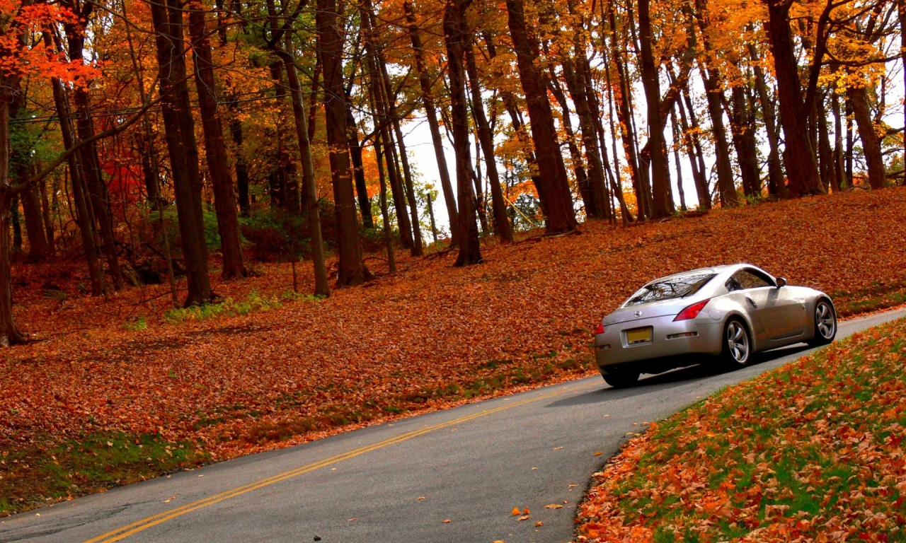 дорога, лес, осень, автомобиль