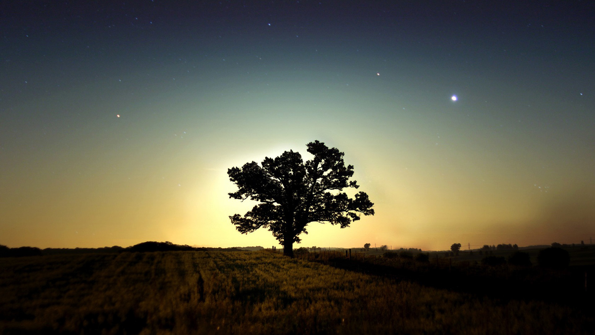 ночь, звёзды, поле, дерево