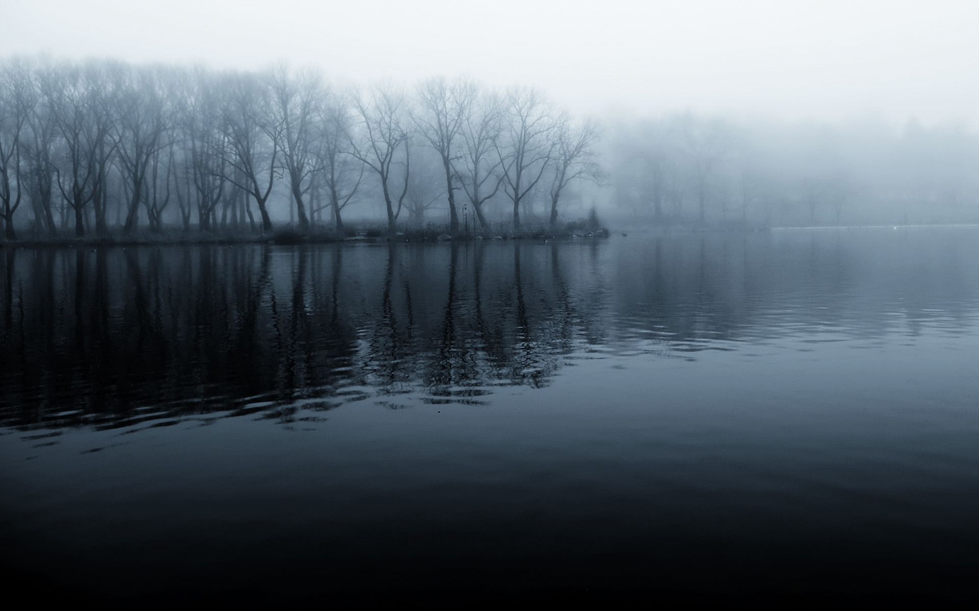 река, деревья, осень, туман