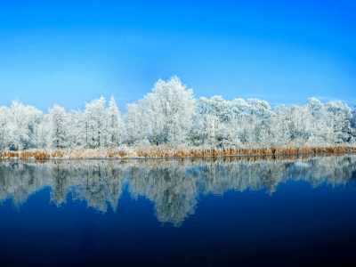 река, зима, деревья в снегу