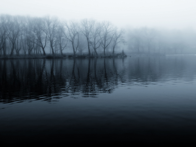 река, деревья, осень, туман