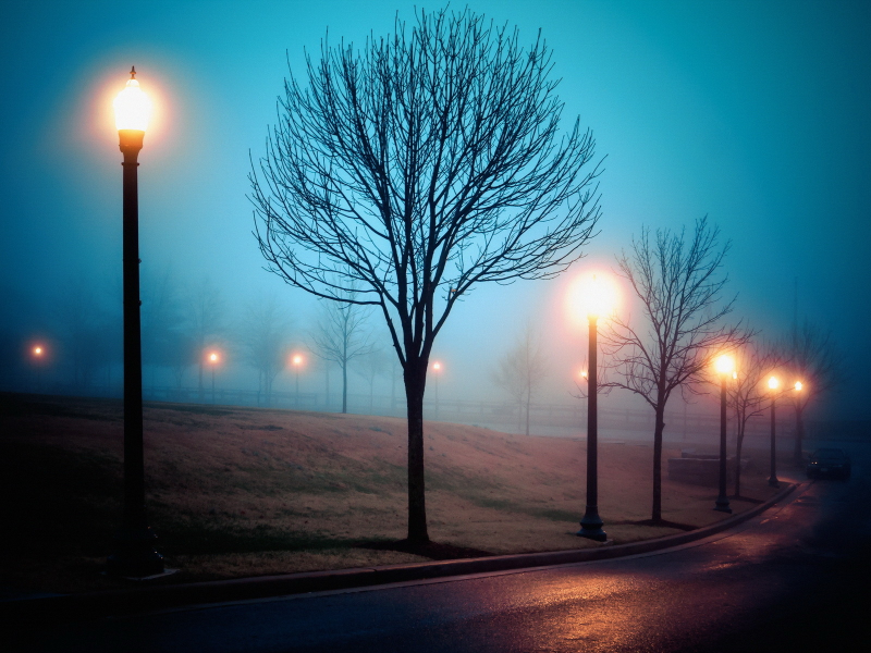 парк, вечер, фонари, туман