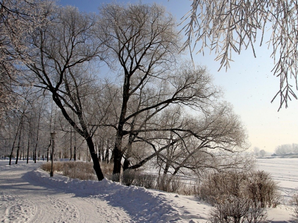 зима, снег, деревья, дорога