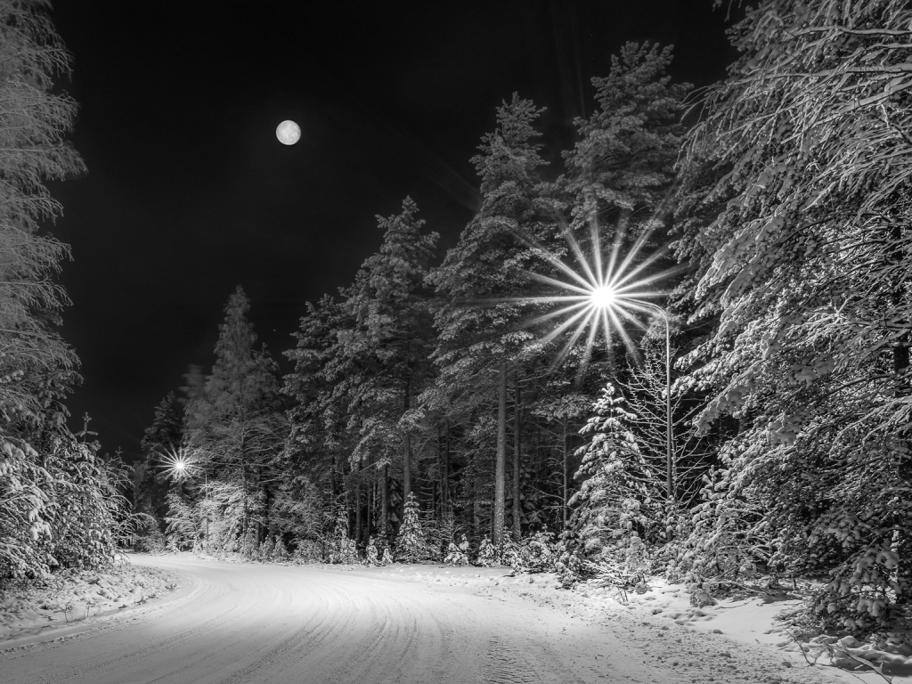 пейзаж, ночь, зима, дорога, лес, снег