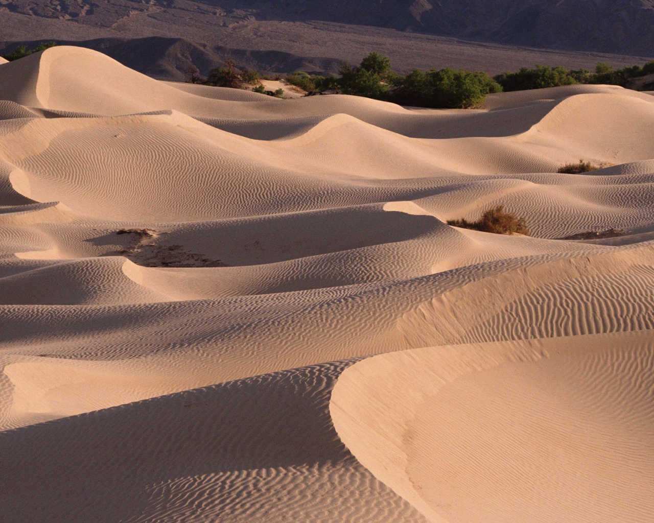 пустыня, пески, бархан