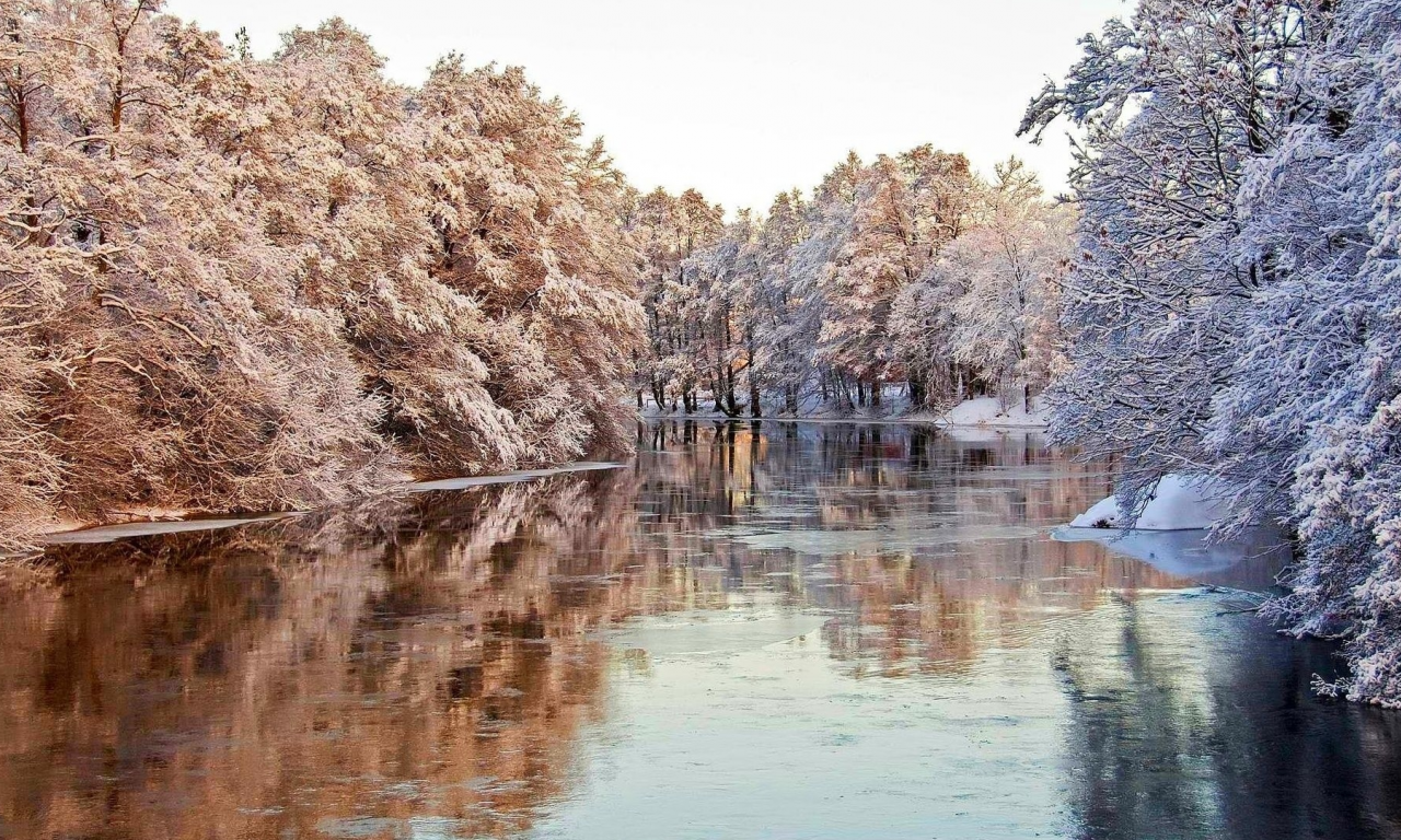 река, зима, лёд, деревья