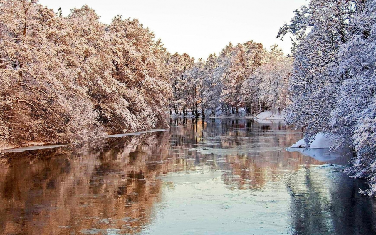 река, зима, лёд, деревья
