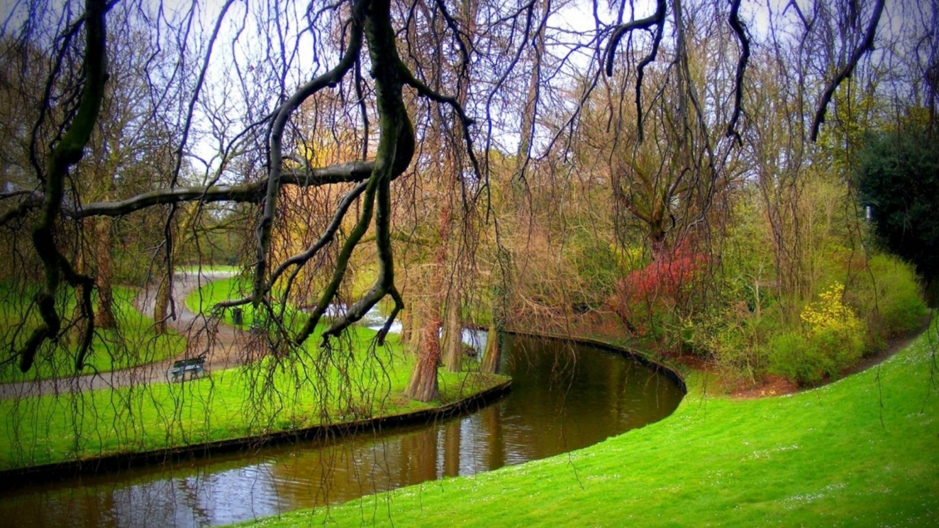 парк, деревья, река