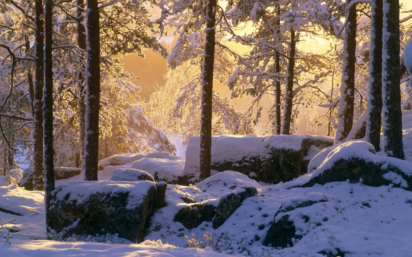 зима, снег, лес, камни