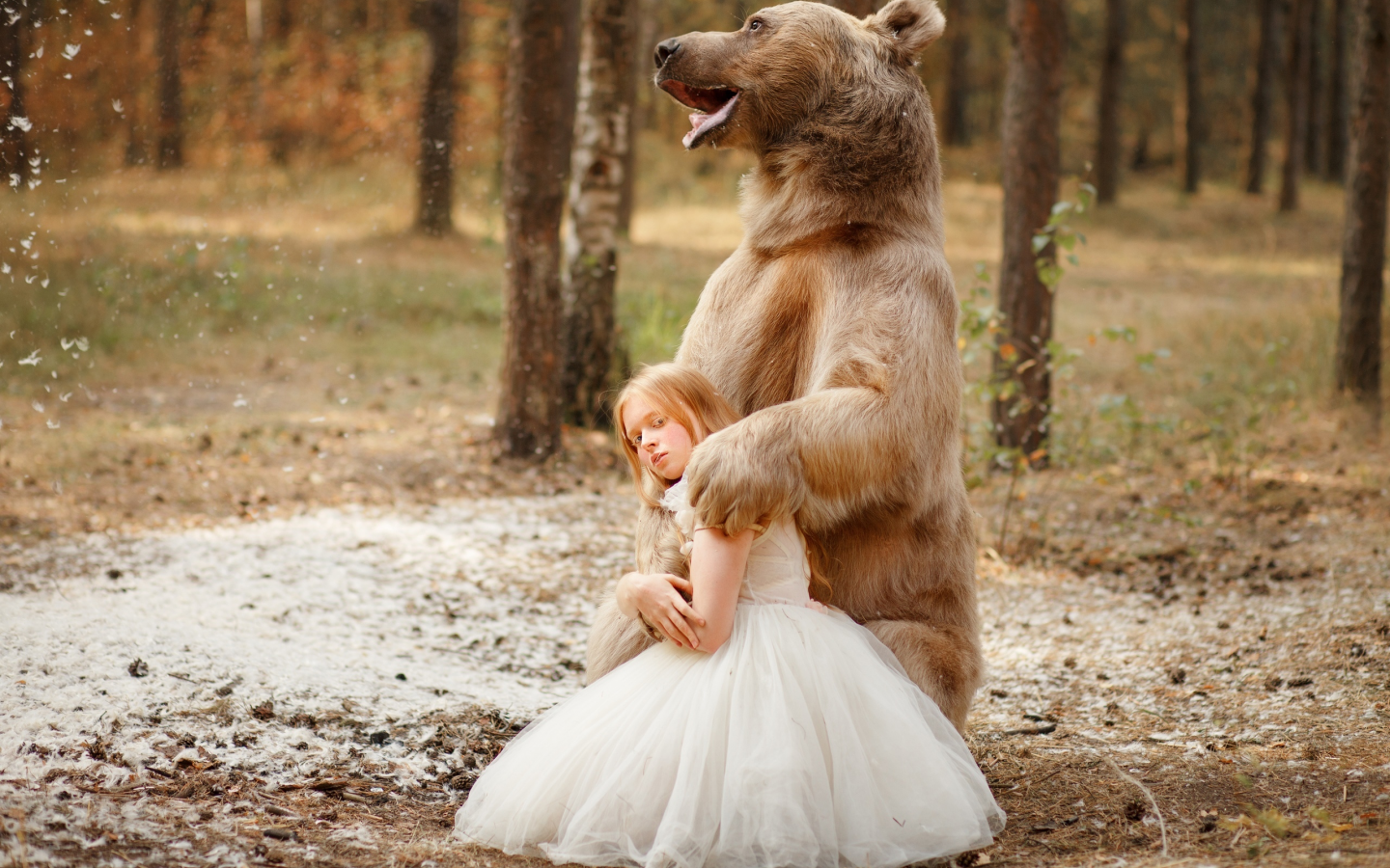 девочка, медведь