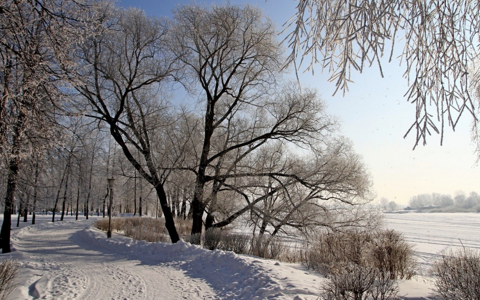 зима, снег, деревья, дорога