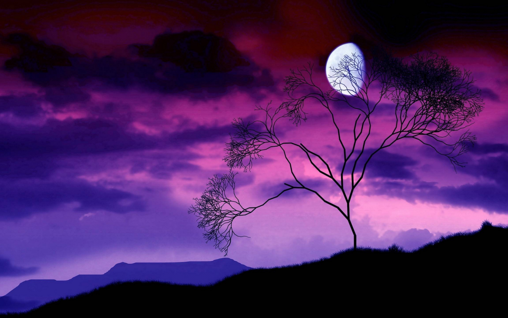 дерево, ночь, луна