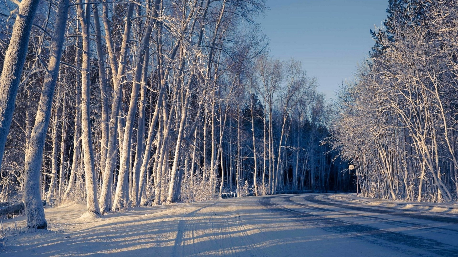 снег, зима, деревья, дорога
