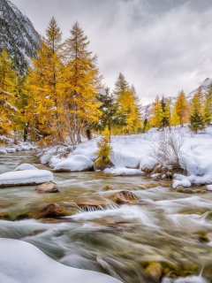 река, деревья, снег
