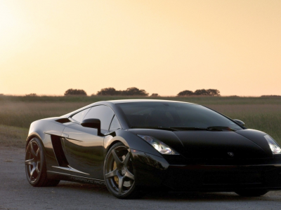 auto, lamborghini gallardo