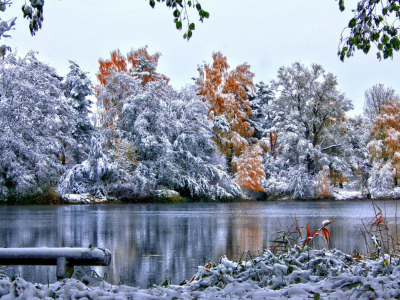 река, деревья, зима