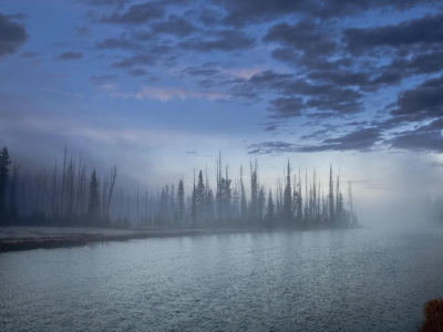 река, деревья, туман