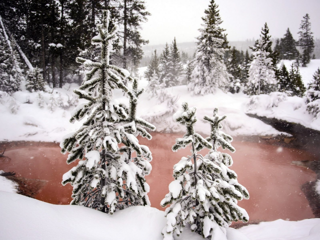 озеро, берег, деревья, зима, снег