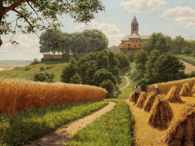 поле, дорога, пшеница, стоги пшеницы