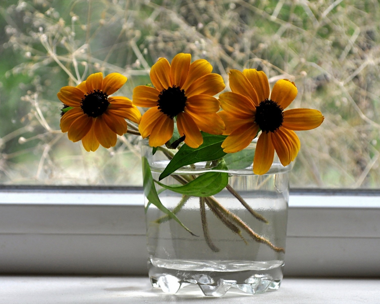 цветы, в вазе
