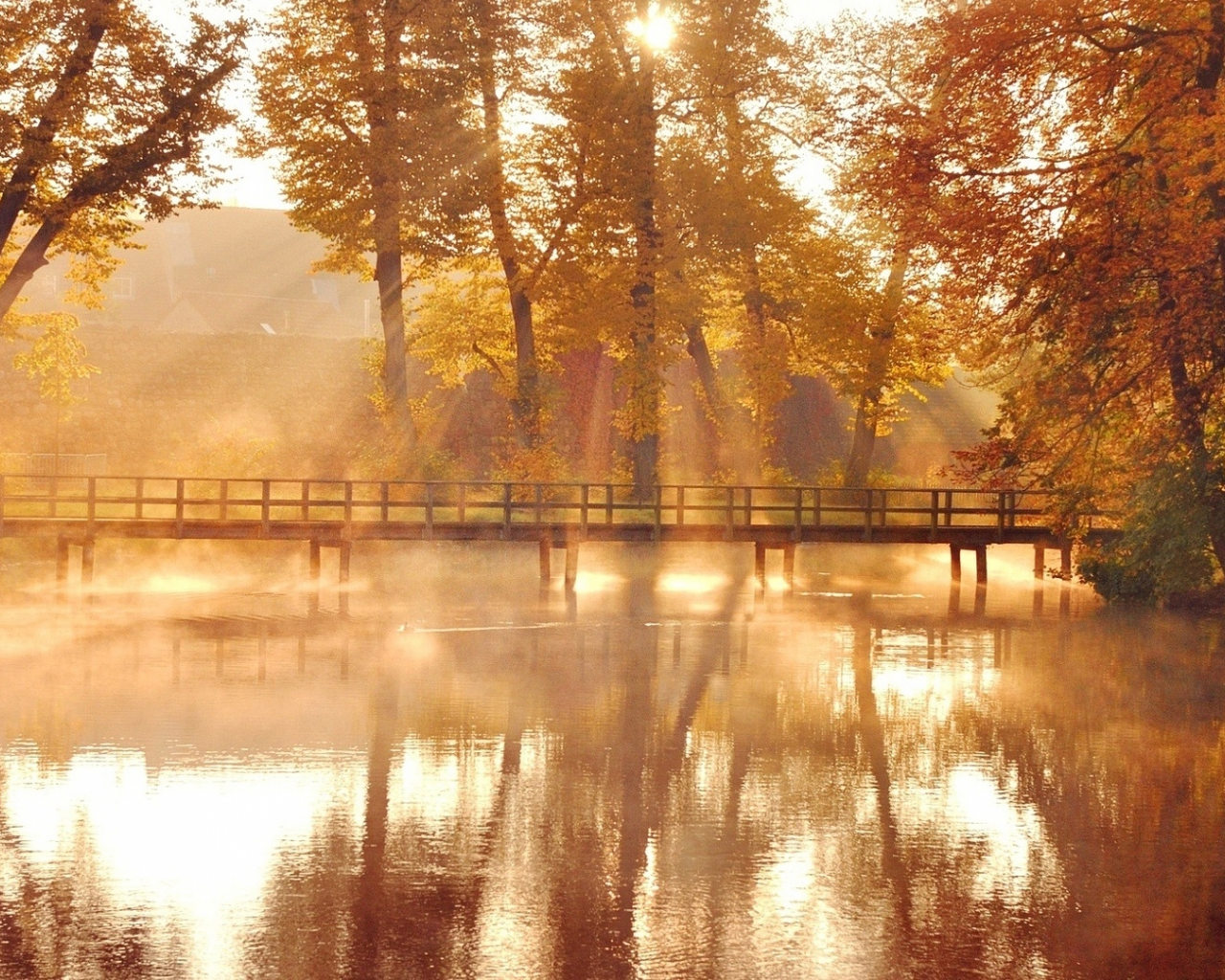озеро, мост, деревья, осень