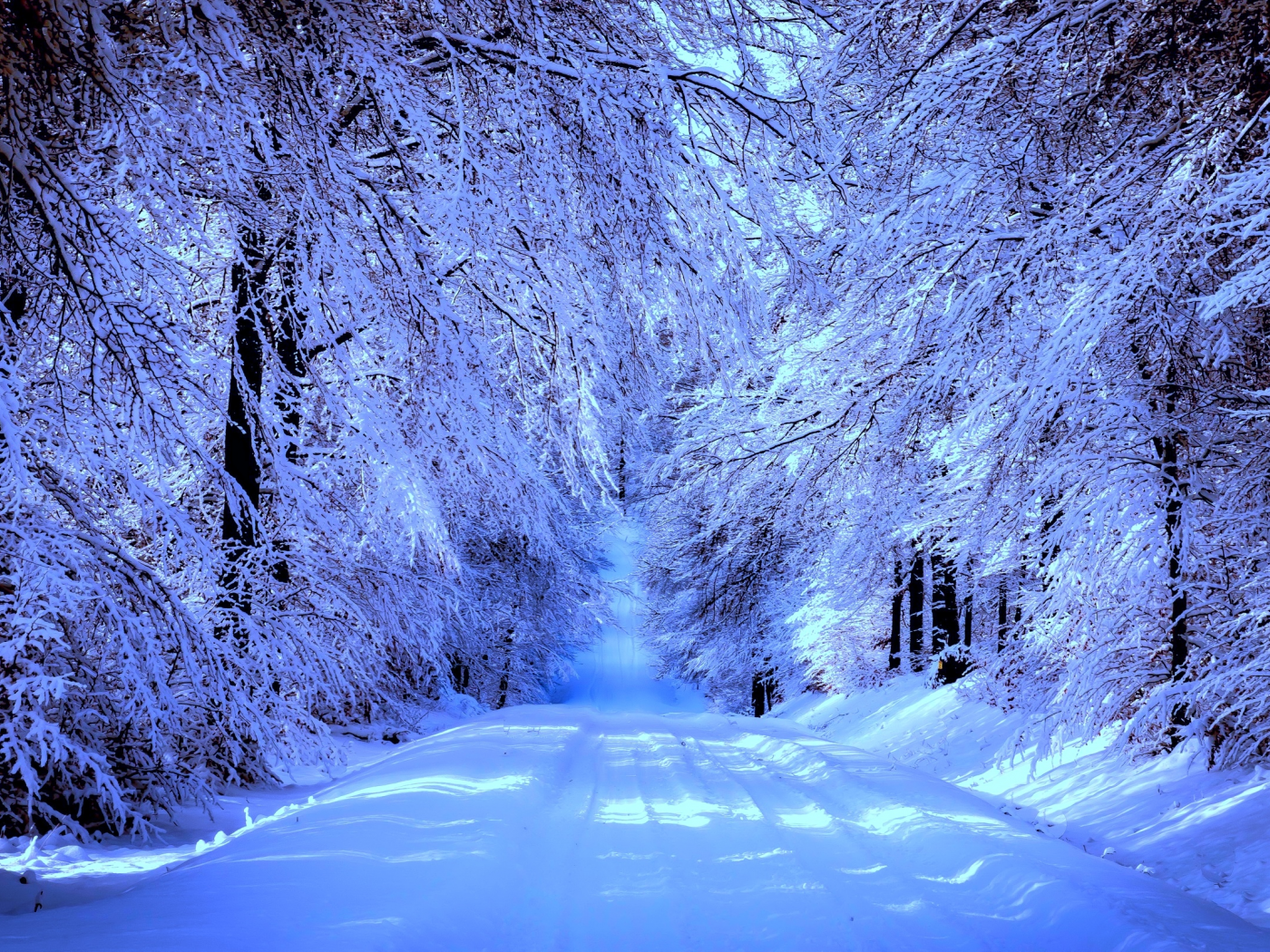природа, лес, зима, дорога, снег