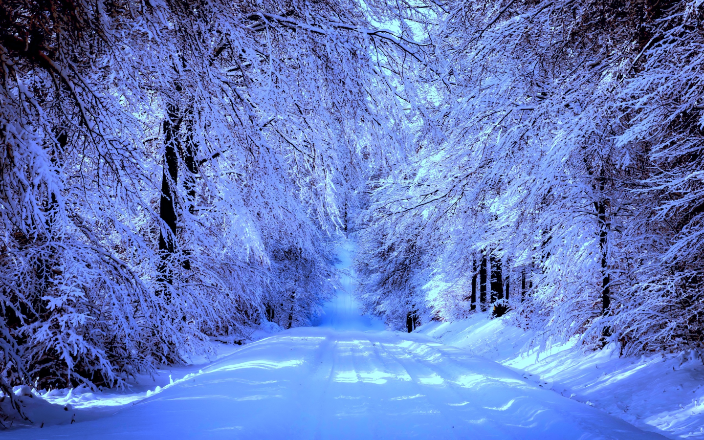 природа, лес, зима, дорога, снег
