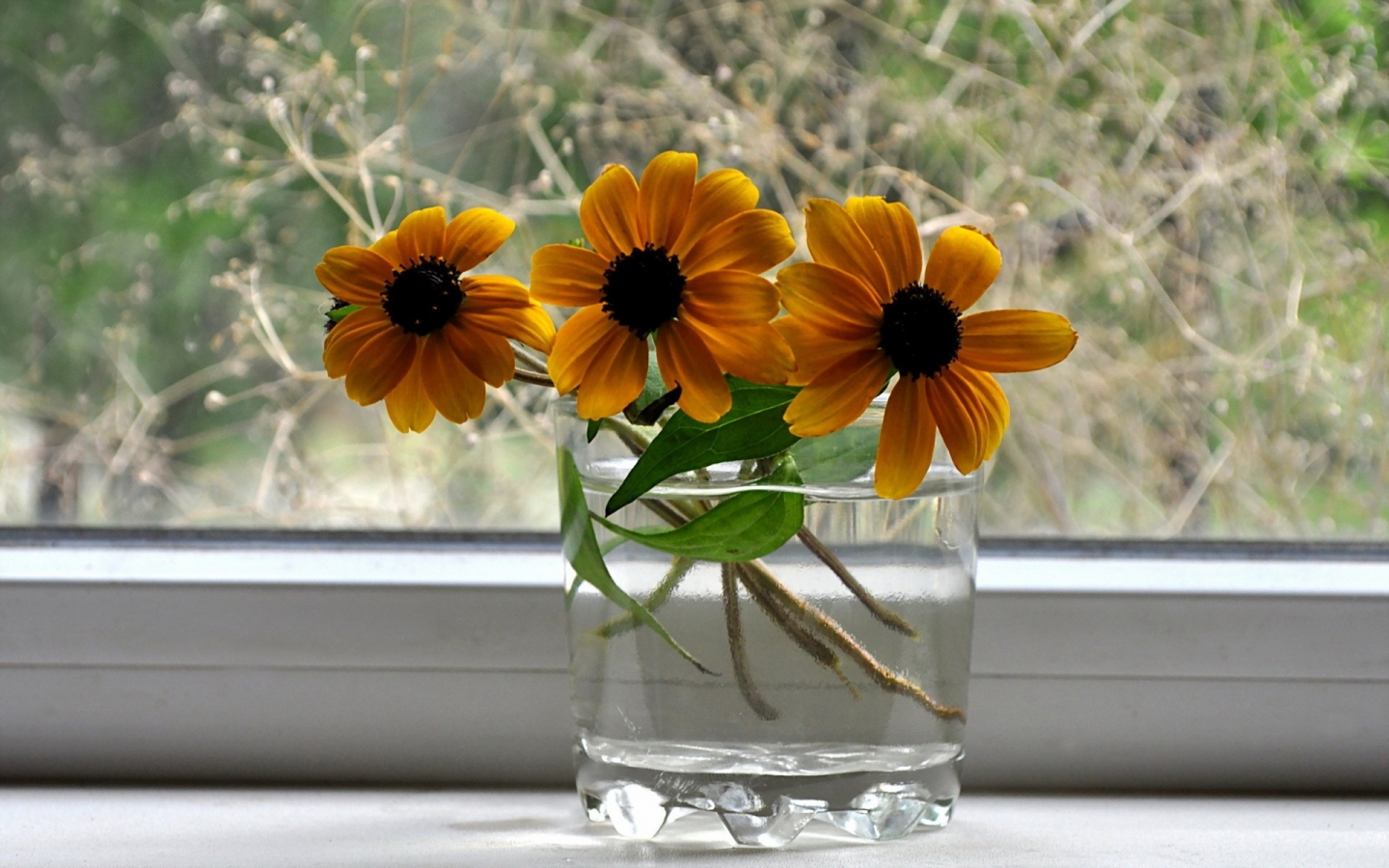 цветы, в вазе