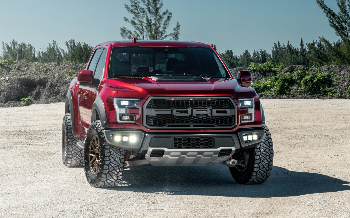 auto, ford, raptor