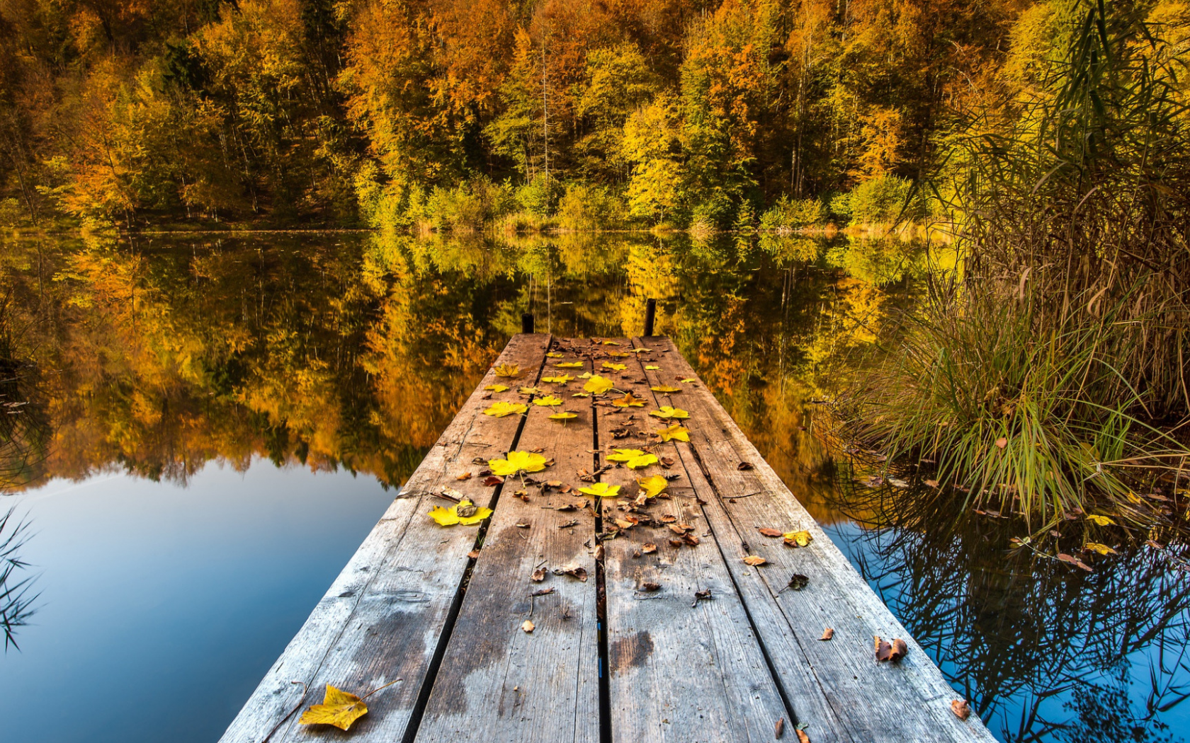 озеро, мостки, осень, листопад