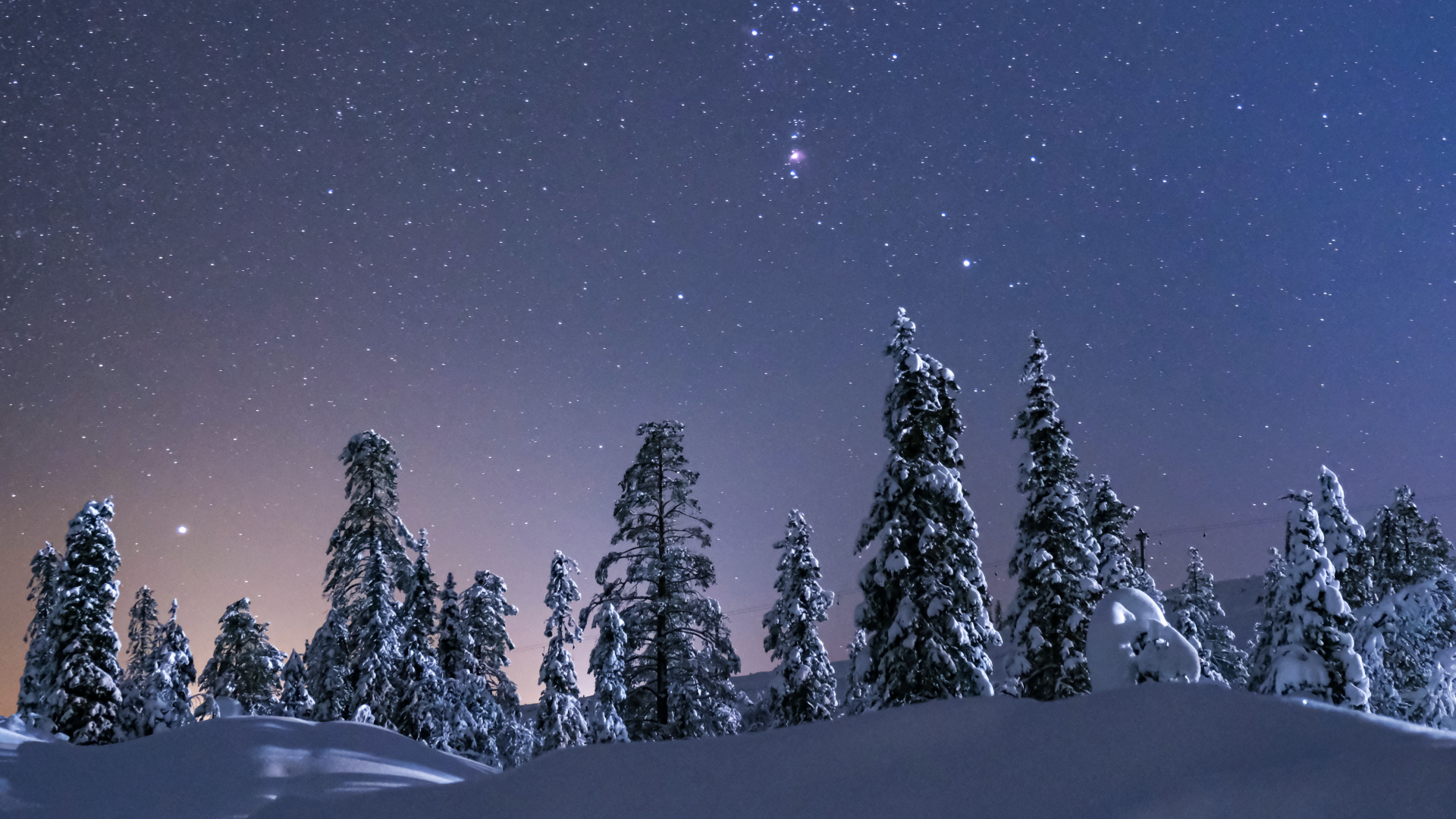 природа, лес, зима, ночь, снег