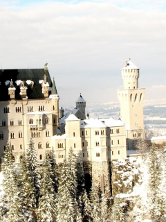 castle, winter