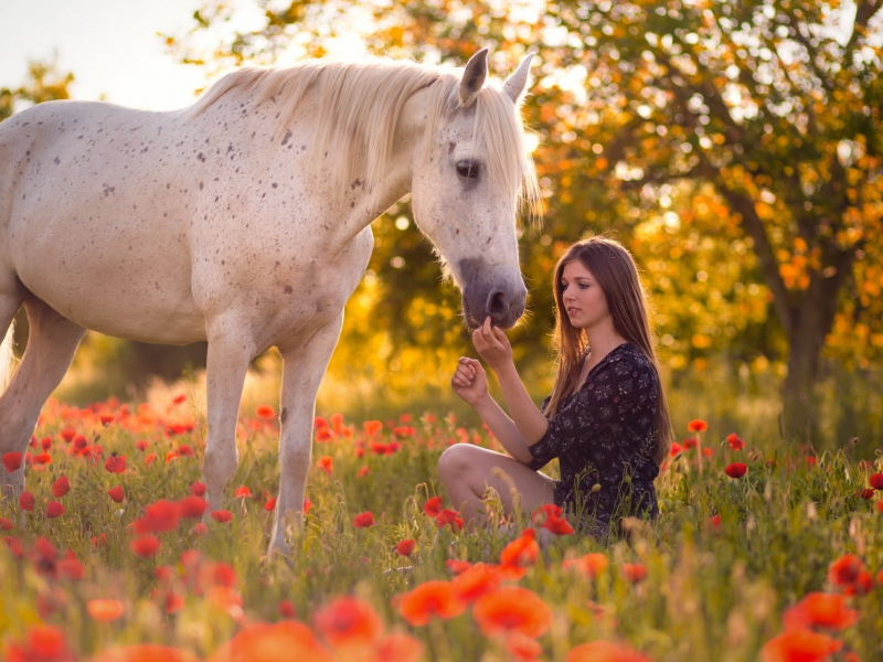 девушка, с лошадью, на природе