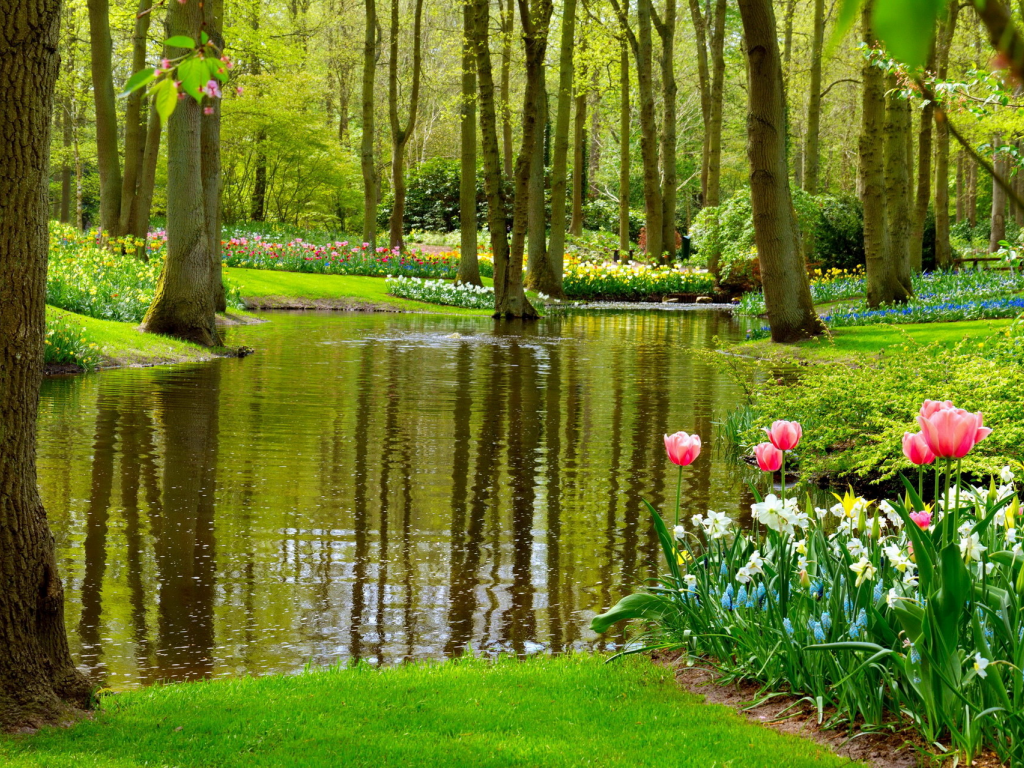 парк, весна, цветы, озеро