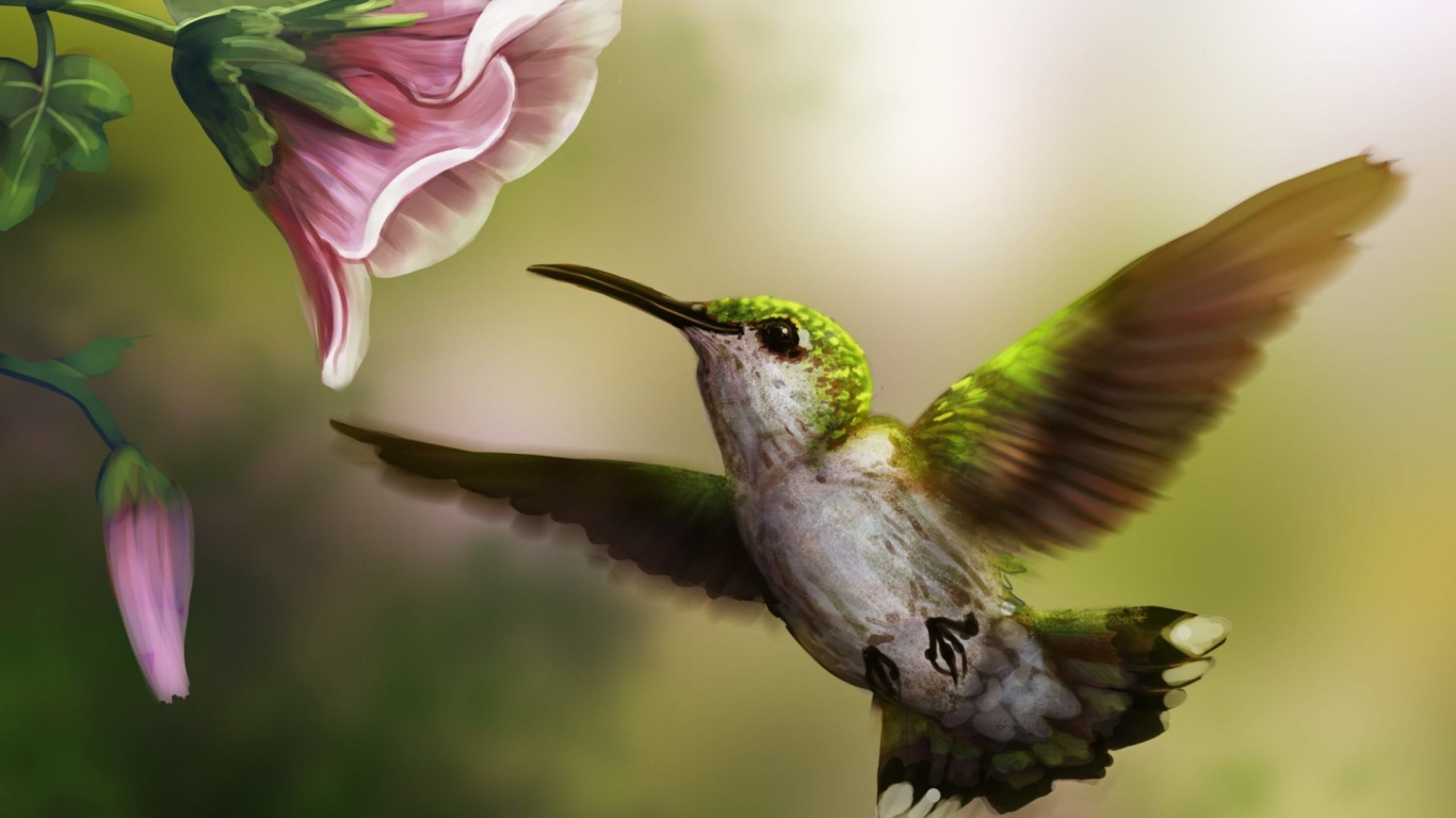 колибри, цветок