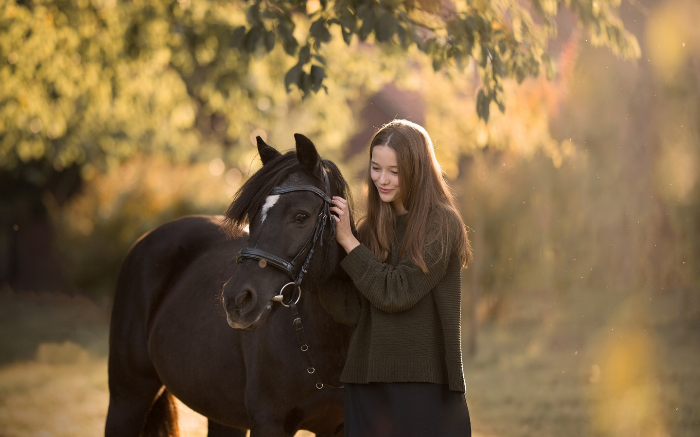 девушка, лошадь, красивая