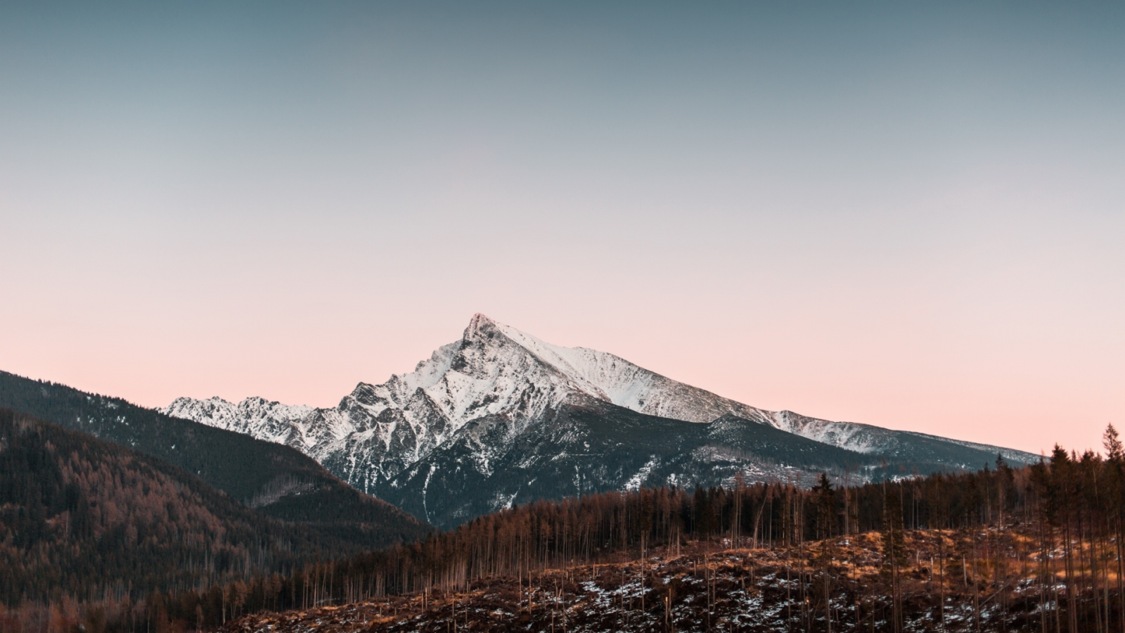 лес, деревья, горы